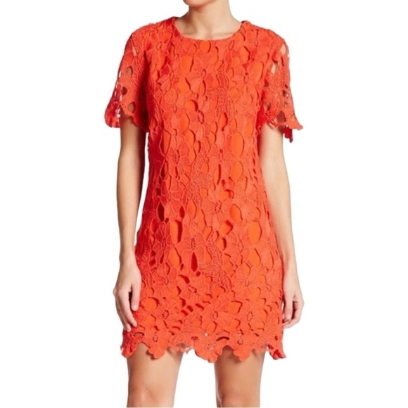 ENGLISH FACTORY FLORAL LACE ORANGE MINI DRESS - Picture 1 of 13